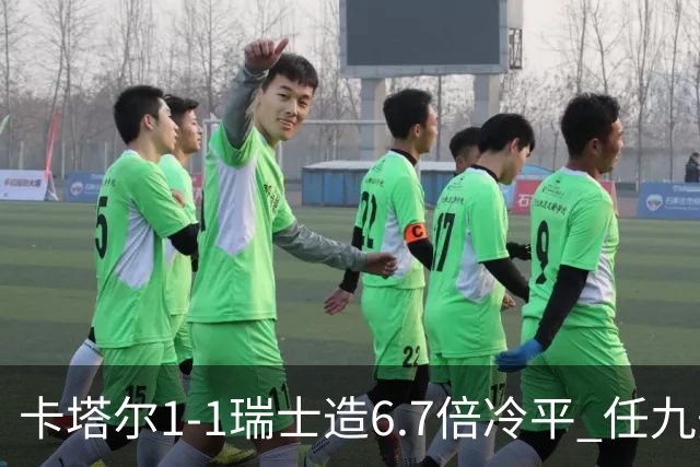 卡塔尔1-1瑞士造6.7倍冷平 任九开53注25.3万元